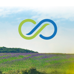 Diana Savio Métha'synergie